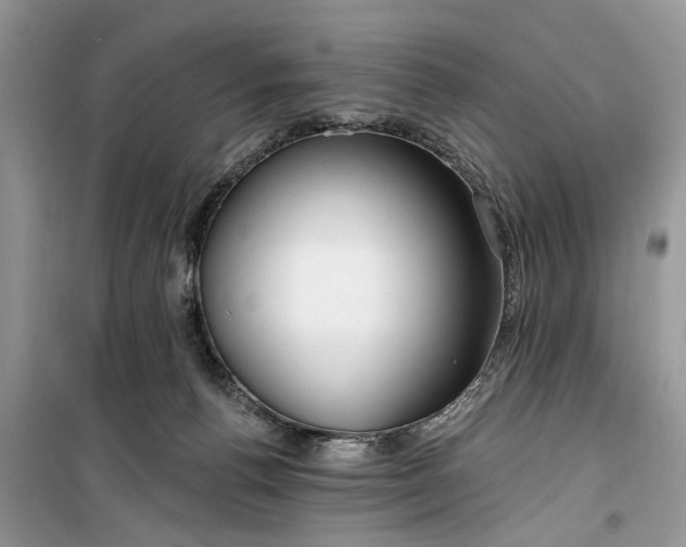 X0000099520176200805291219