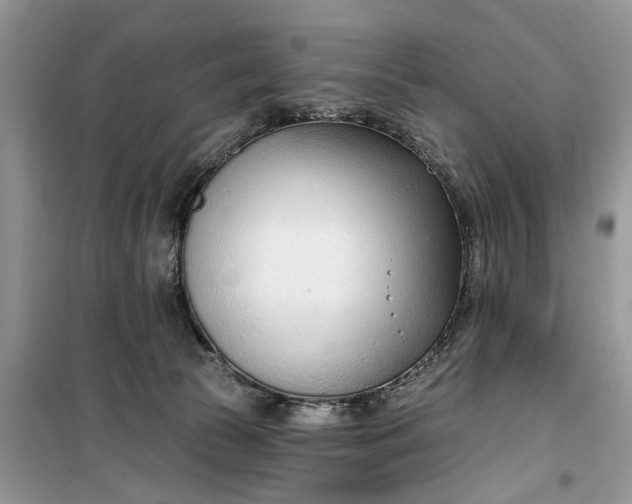 X0000099520177200805291219