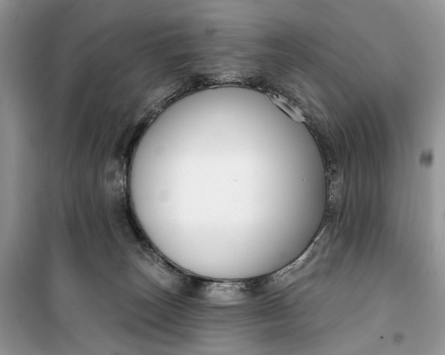 X0000099520179200805291219