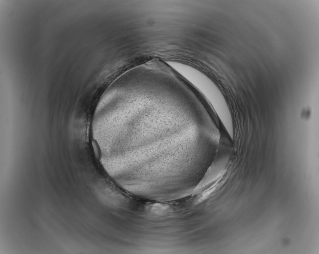 X0000099520180200805291219