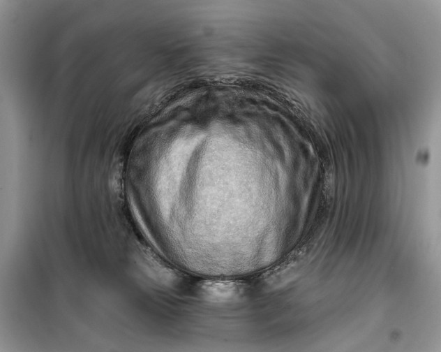 X0000099520181200805291219