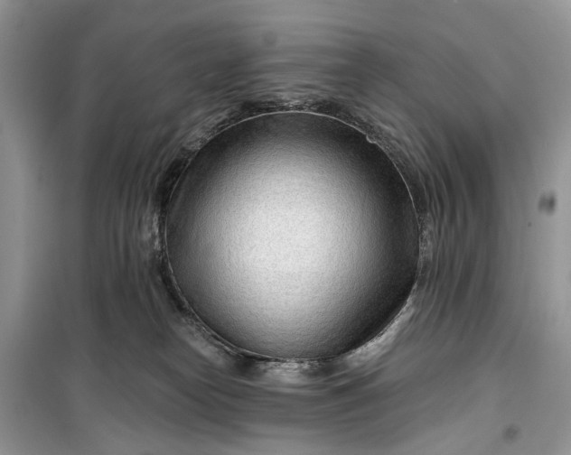 X0000099520182200805291219