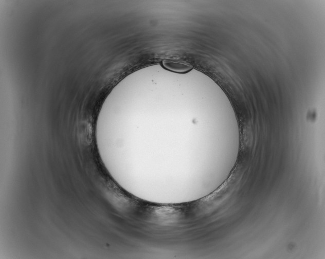 X0000099520183200805291219