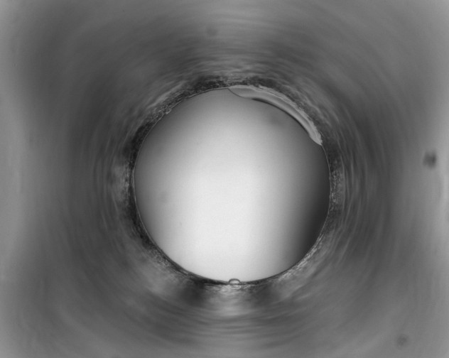 X0000099520184200805291219