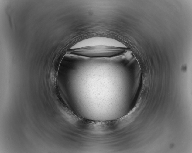 X0000099520186200805291219