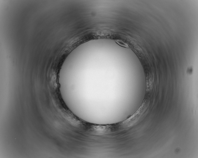 X0000099520187200805291219