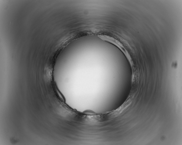 X0000099520188200805291219