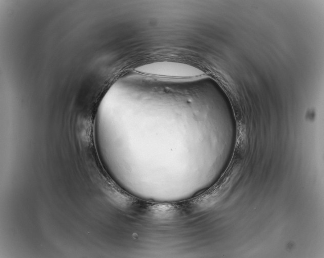 X0000099520189200805291219