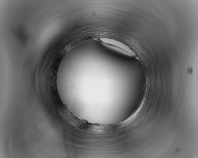 X0000099520190200805291219