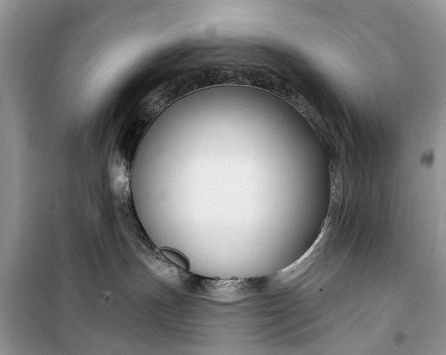 X0000099520191200805291219