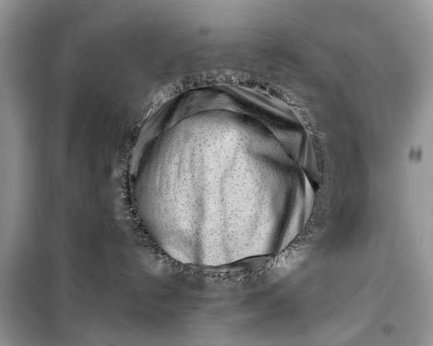 X0000099520192200805291219