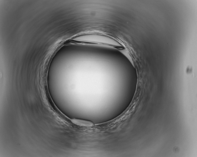 X0000099520193200805291218