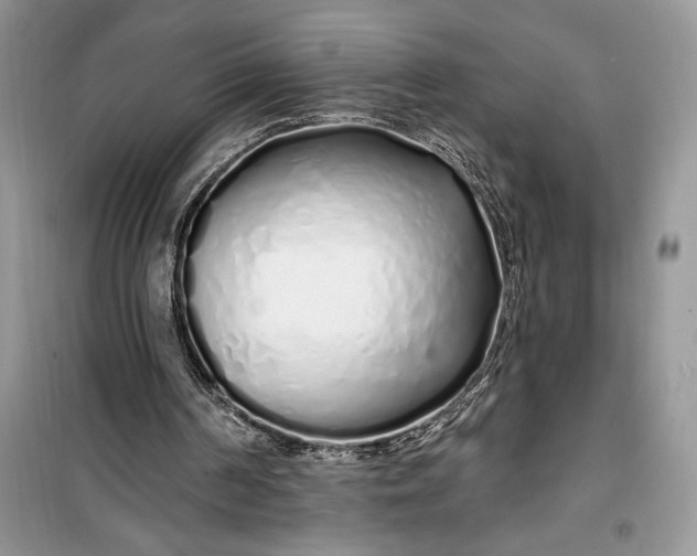 X0000099520194200805291218