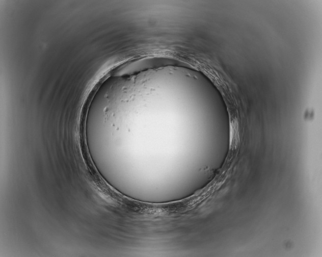 X0000099520195200805291218