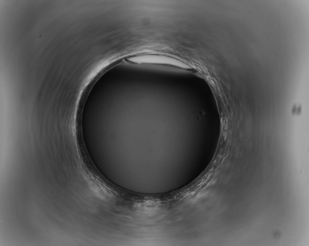 X0000099520196200805291218