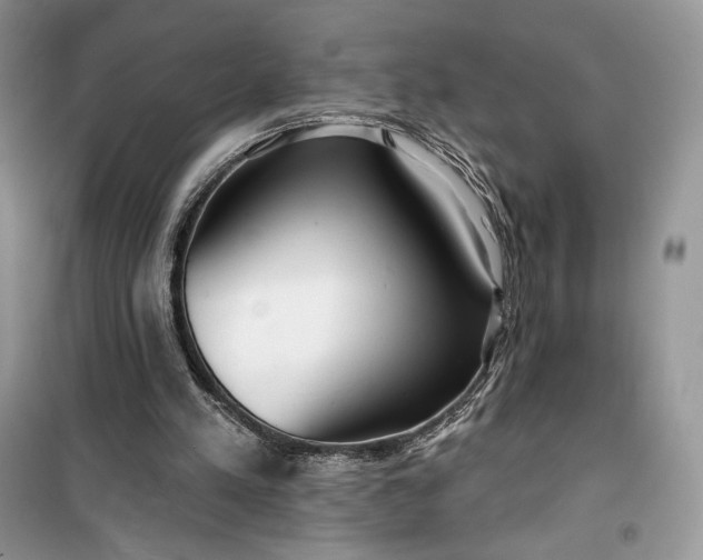 X0000099520197200805291218