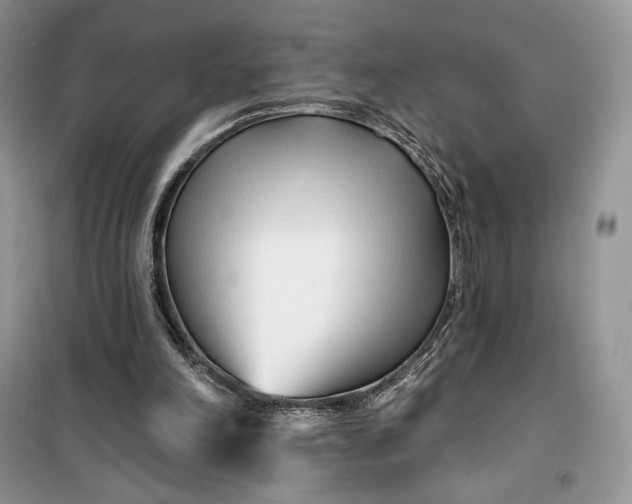 X0000099520198200805291218