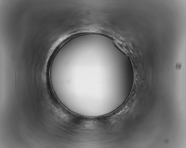 X0000099520200200805291218