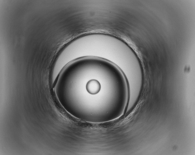 X0000099520201200805291218