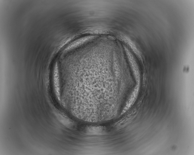 X0000099520202200805291218