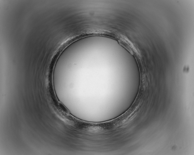 X0000099520203200805291218