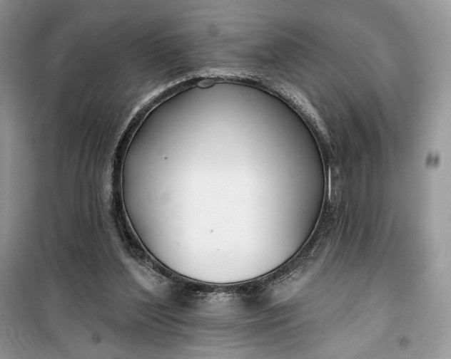 X0000099520204200805291218