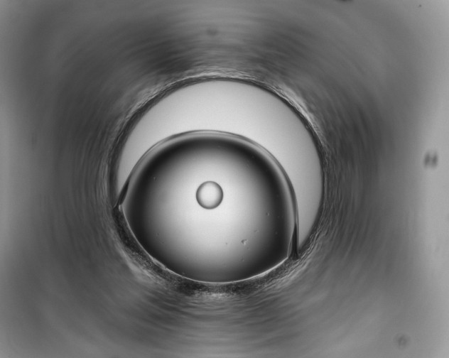 X0000099520205200805291218