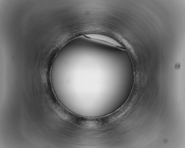 X0000099520209200805291218