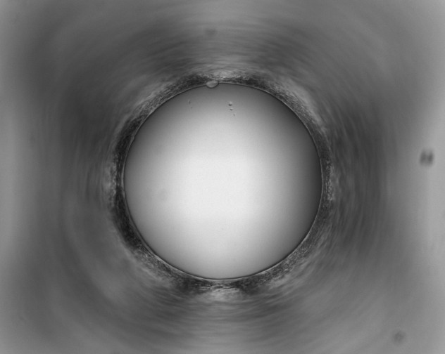 X0000099520210200805291218