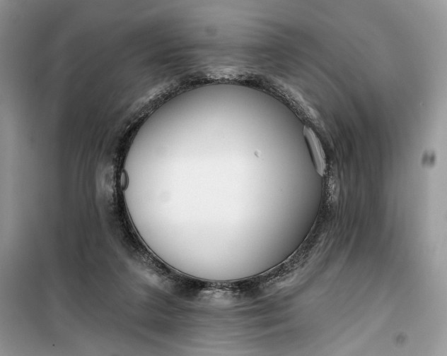 X0000099520211200805291218