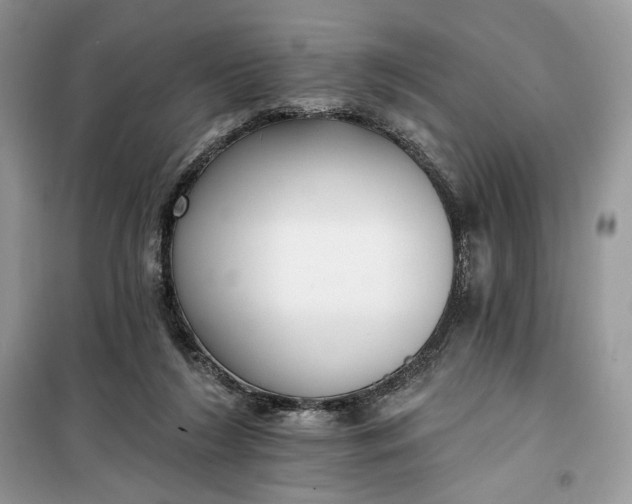 X0000099520212200805291218