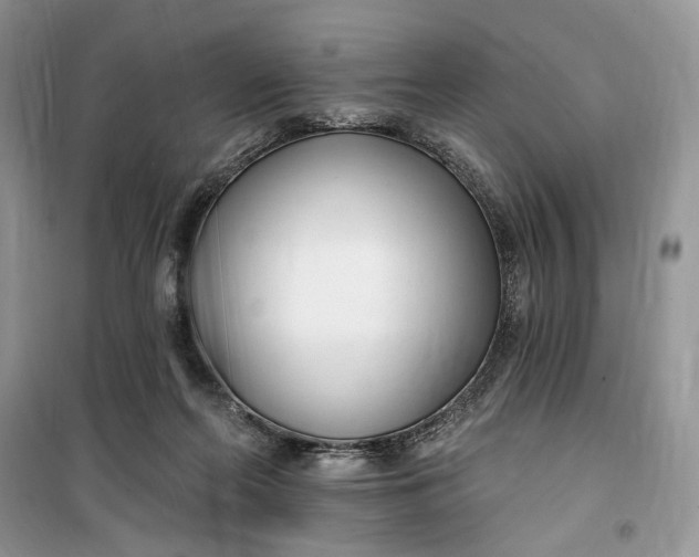 X0000099520214200805291218