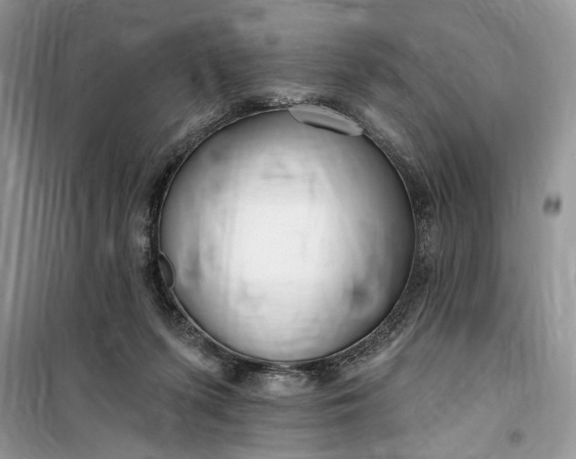 X0000099520215200805291218