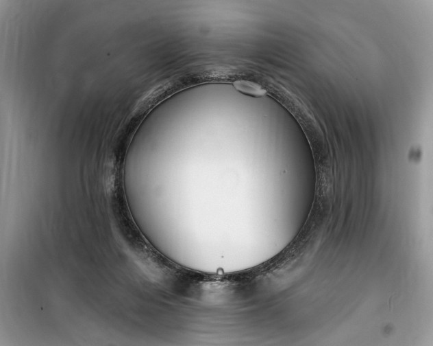 X0000099520216200805291218