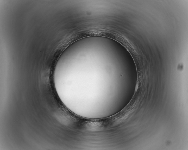 X0000099520217200805291218