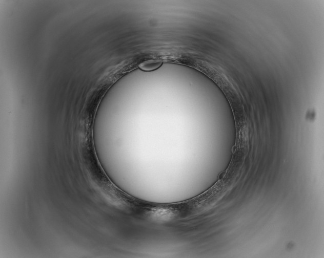 X0000099520218200805291218