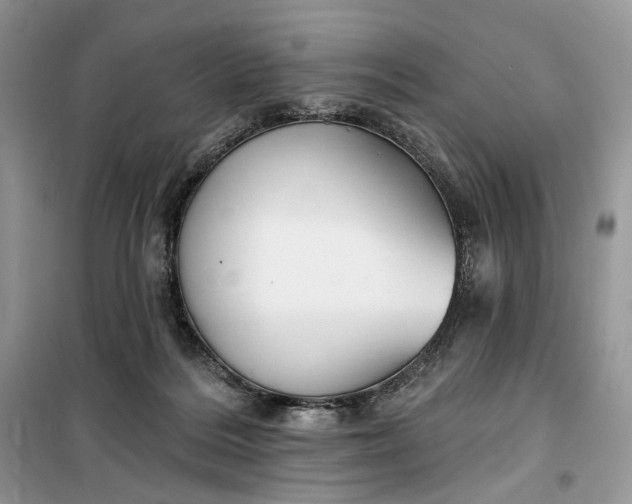 X0000099520220200805291218