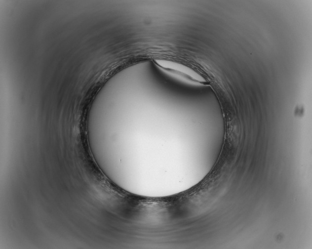 X0000099520221200805291218