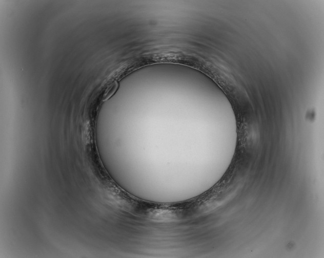 X0000099520224200805291218