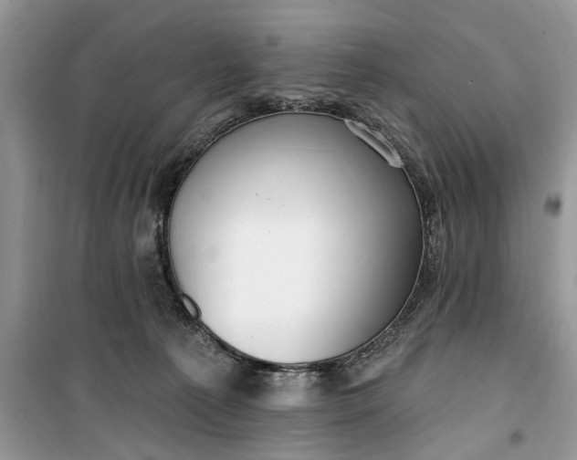 X0000099520225200805291218