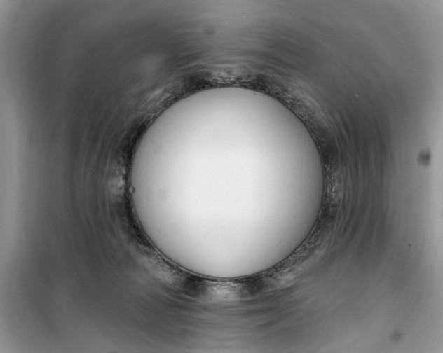 X0000099520226200805291218