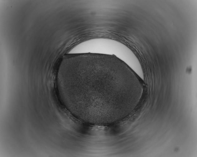 X0000099520227200805291218