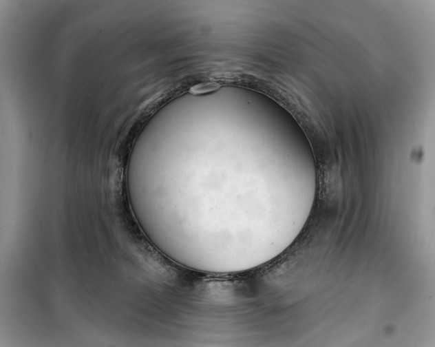 X0000099520228200805291218