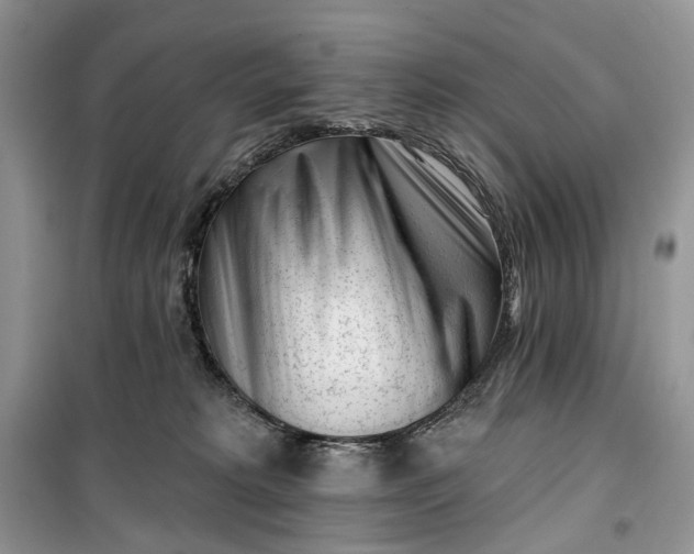 X0000099520229200805291218