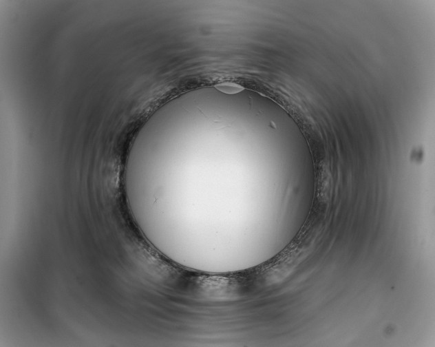 X0000099520230200805291218