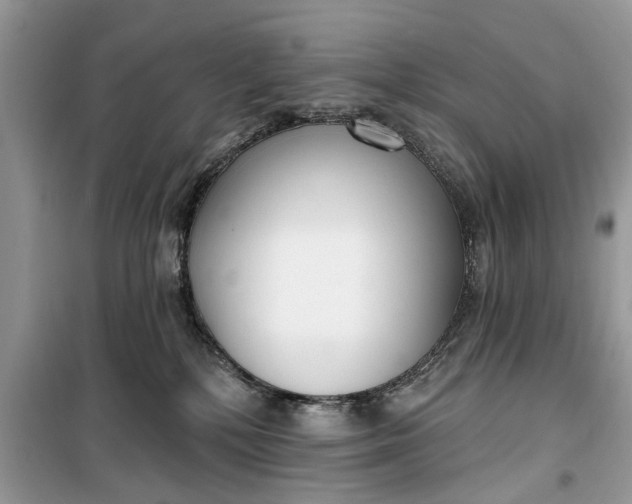 X0000099520232200805291218