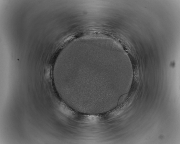 X0000099520233200805291218