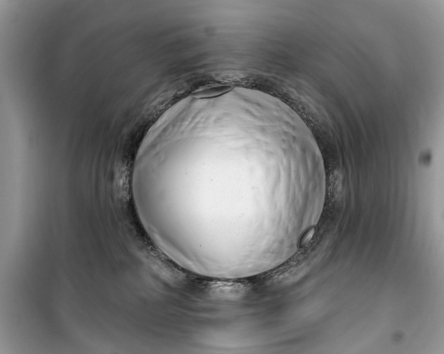 X0000099520234200805291218