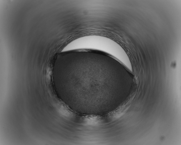 X0000099520235200805291218