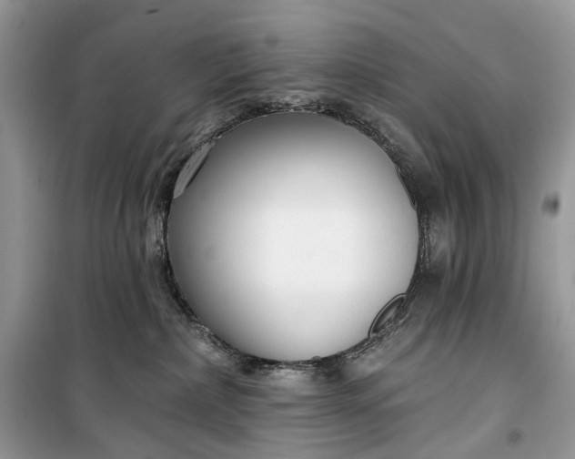 X0000099520236200805291218